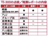 カシオ　TE-300