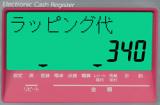 カシオ　NL-300/TE-340