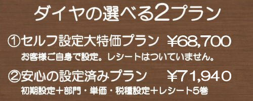 ダイヤの選べる2プラン