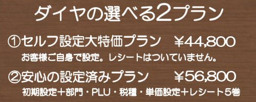 ダイヤの選べる2プラン