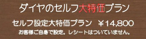 ダイヤのセルフ大特価プラン